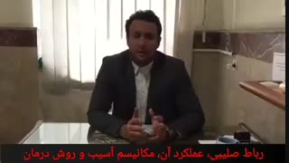 مکانیسم و عملکرد رباط صلیبی