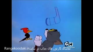 انیمیشن تام و جری (موش و گربه)
