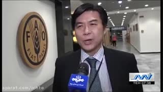 زعفران گناباد