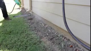 سمپاشی | سمپاشی در تهران | شرکت سمپاشی در تهران | شرکت سمپاشی نگارین تندیس