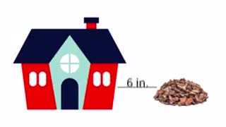 سمپاشی | سمپاشی در تهران | شرکت سمپاشی در تهران | شرکت سمپاشی نگارین تندیس