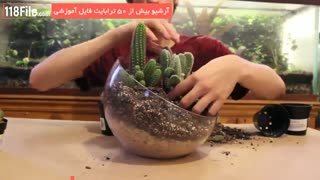 5تا آموزش ساخت زیباترین باغ های شیشه ای