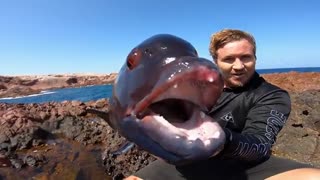 هیچ کس تا بحال نتونسته بود  این ماهی رو شکار کنه!