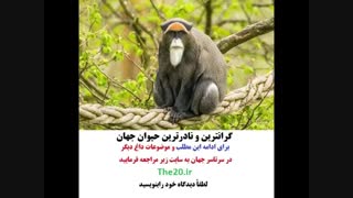 گرانترین و نادرترین حیوان جهان
