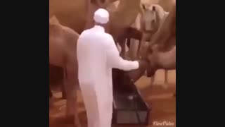 گرانی و تورم برای هیچ کس اعصاب نگذاشته yadakjo.ir