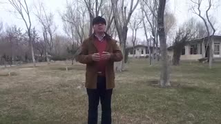 برای نوشتن همه جا را جستجو کنید