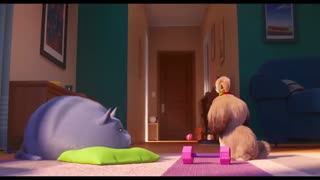 تریلر انیمیشن The Secret Life of Pets 2