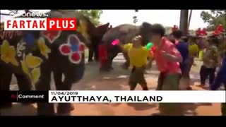 آب بازی با فیل‌ها در تایلند به مناسبت سال جدید