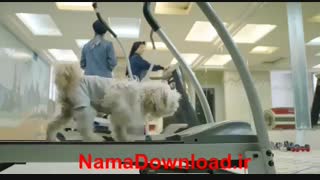 سریال ایرانی سالهای دور از خانه قسمت اول