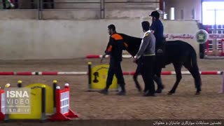 نخستین مسابقات سوارکاری معلولان