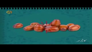 طبع عناب گرمه یا سرد؟