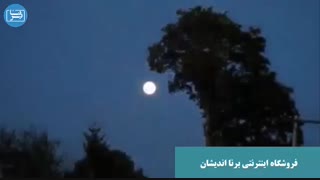 عجیب ترین درختان دنیا را ببینید
