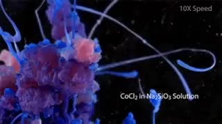 باغچه شیمیایی