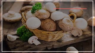 ترفندهای آموزشی برای پرورش قارچ خوراکی در منزل