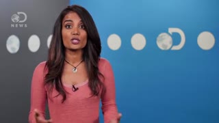 همه چیز درباره آووکادو | فواید ، نحوه مصرف و مضرات