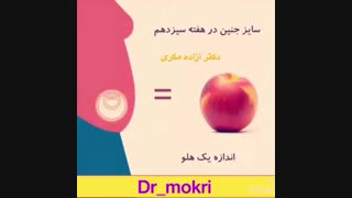 سونوگرافی بارداری