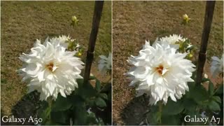 Galaxy A50 Vs Galaxy A7 Camera Test Comparison