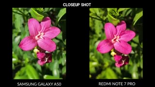 Xiaomi Redmi Note 7 Pro vs Samsung Galaxy A50 camera comparison: you won't be surprised
