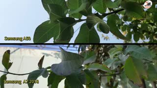 Samsung A50 vs Samsung A7 2018 - Camera Test Comparison!!