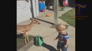 دوربین خنده دار