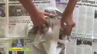 باربری غرب تهران - باربری ایفل