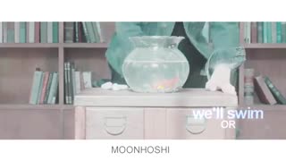 vernon-seventeen FMV