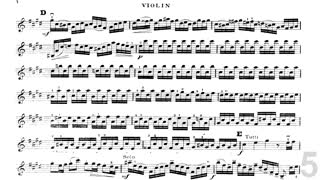 اکومپانیمان کنسرتو 2 باخ مومان اول تمپو 80