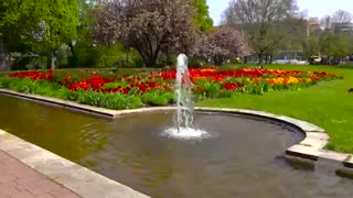 شهر ویسبادن آلمان - MIGRATE GERMANY