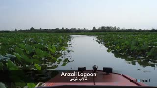 گردشگری شمال کشور-جاذبه های گردشگری - جهت رزرو هتل در شمال- اقامتگاه در شمال -اجاره ویلا در شمال