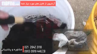 آموزش آشنایی با تولید انواع قارچ های خوراکی