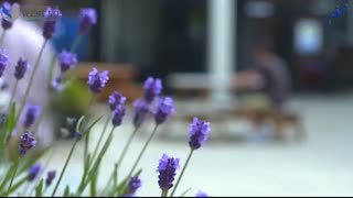 Welcome to the University of West London