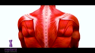 تناسب اندام با اسلیم فیت