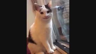با کی ازدواج کنم گوگل جان؟!