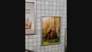 فرهنگ سازی برای والدین درجه 1 و 2