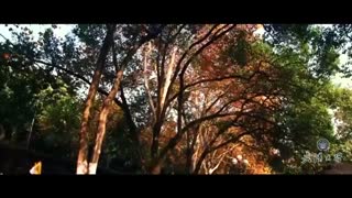 Study in Wuhan University