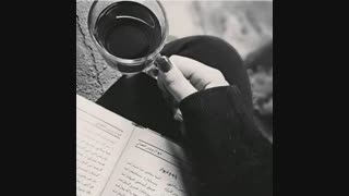 جنگ یا عشق؟
