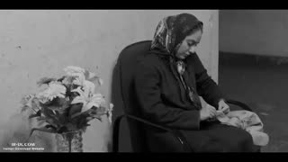 برف روی کاج ها