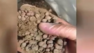 روش عجیب قاچاقچیان برای انتقال حشیش به استانبول