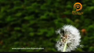 موزیک بیکلام
