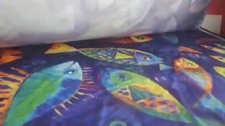 چاپ روی شال و روسری پارلا ۰۹۱۲۰۰۶۷۸۹۰