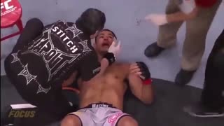 مبارزه آزاد