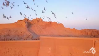 ماجراجویی یک زوج خارجی در ایران