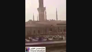 حاج محسن آقاولی. امام حسن و بقیع