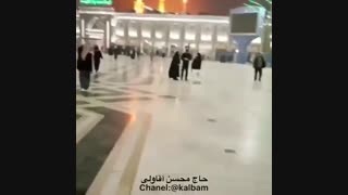 حاج محسن آقاولی. منی که از تو دم میزنم