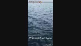 اجرای ژئو ممبران نوین در اصفهان