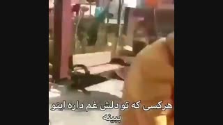 اگه غم تو دلته اینو ببین
