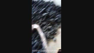 زغال لیموبرش خورده وافوری قلیانی کبابی