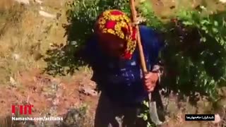 معرفی فیلم دلبند