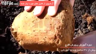 آموزش مرحله به مرحله اصول پرورش قارچ