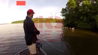 تمامی ترفندها و اصول اولیه ماهیگیری